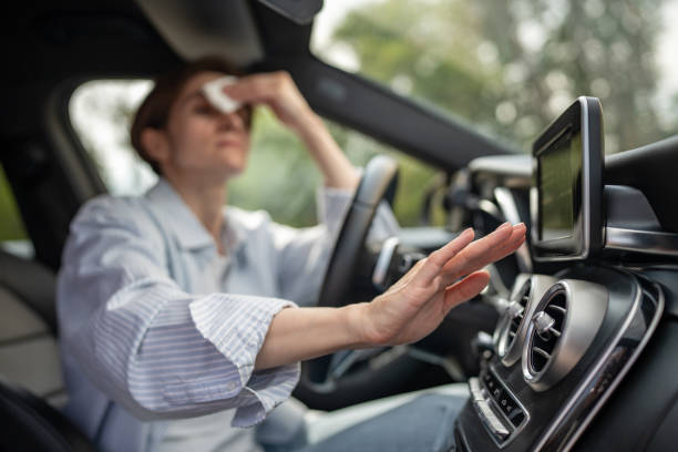 Best Thermostats and Smart Controls in Pea Ridge, FL